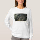 Zoek naar plato briefkaarten Uitzicht