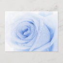 Zoek naar dauw briefkaarten Elegant