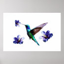 Zoek naar hummingbird posters Voor hem/haar