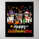 Zoek naar hond shih tzu posters Vakantie