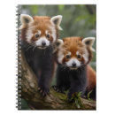 Zoek naar boom notitieboeken Panda