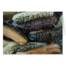 Zoek naar komkommer kaarten Grappig