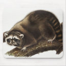 Zoek naar raccoon muismatten Wild