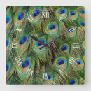 Zoek naar pauw veer klokken Peafowl