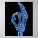 Zoek naar menselijke hand posters Medisch