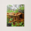 Zoek naar plantkundige puzzels Voor iedereen