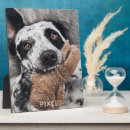 Zoek naar honden fotoplaat Schattig