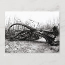 Zoek naar reuze briefkaarten Natuur