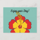 Zoek naar hibiscus briefkaarten Zomer