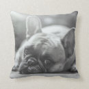Zoek naar bulldog kussens Hond