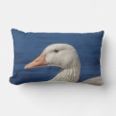 Zoek naar canadese gans kussens Natuur