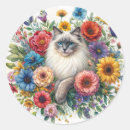 Zoek naar ragdoll kat stickers Bloem