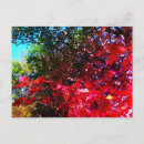 Zoek naar blad briefkaarten Rood