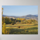 Zoek naar herfstboom posters Landschap