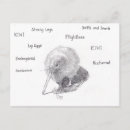 Zoek naar kiwi briefkaarten Nieuw zeeland