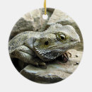 Zoek naar draak ornamenten Hagedis
