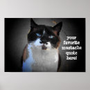 Zoek naar snor posters Kat