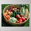 Zoek naar werktuig posters Variatie