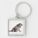 Zoek naar dieren sleutelhangers Hond