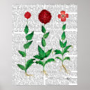 Zoek naar anjers posters Italië