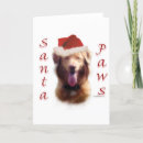 Zoek naar nova scotia duck tolling retriever kaarten Hond