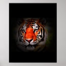 Zoek naar tijger gezicht posters Natuur