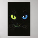 Zoek naar groene ogen posters Zwarte kat