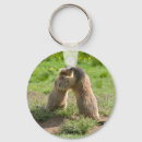 Zoek naar marmot sleutelhangers Knaagdieren