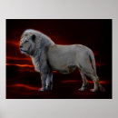 Zoek naar leeuwen posters Natuur