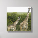 Zoek naar kenia kunst Natuur