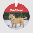 Zoek naar cairn terrier ornamenten Honden