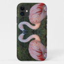 Zoek naar flamingo fotografie Roze