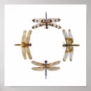 Zoek naar libelle posters Insect