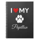 Zoek naar papillon Gezelschapsdieren
