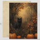 Zoek naar samhain Pompoen