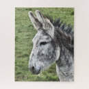 Zoek naar donkey puzzels Equine
