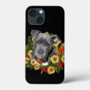 Zoek naar pitbulls iphone hoesjes Pitbull lover
