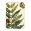 Zoek naar vlinder magneten Botanisch