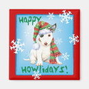 Zoek naar mini magneten Voor iedereen