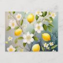 Zoek naar citrusvrucht briefkaarten Bloemen