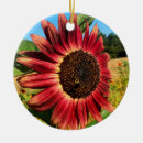 Zoek naar zonnebloem ornamenten Bij