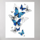Zoek naar blauwe vlinder posters Vlinders