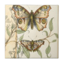 Zoek naar insecten tegels Botanisch