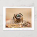 Zoek naar photography briefkaarten Natuur