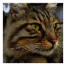 Zoek naar longen posters Schattig