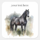 Zoek naar hengsten stickers Voor iedereen