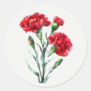 Zoek naar rode anjer stickers Rood
