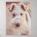 Zoek naar airedale terrier kunst Schattig