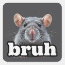 Zoek naar huisdier stickers Dierenliefhebber