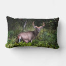 Zoek naar book kussens Voor hem